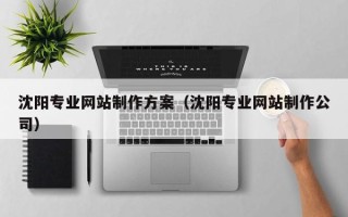 桐城沈阳专业网站制作方案（沈阳专业网站制作公司）